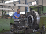 企鵝風(fēng)采 企鵝風(fēng)采